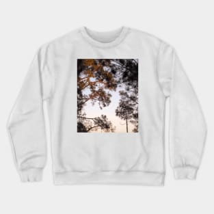 early morning sunrise in the forest Crewneck Sweatshirt